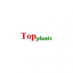 TopPlants Import-Export