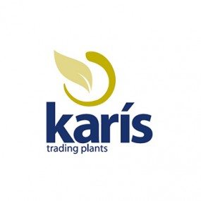 Karis Trading Plants