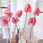 Anthurium cut flower Candy® ©Anthura