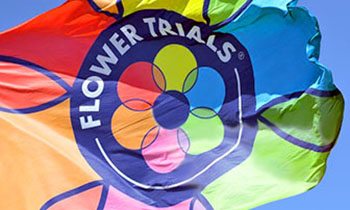 FlowerTrials 2024, will you visit us?