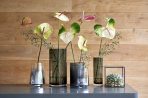 Haal het voorjaar in huis met anthurium planten en bloemen