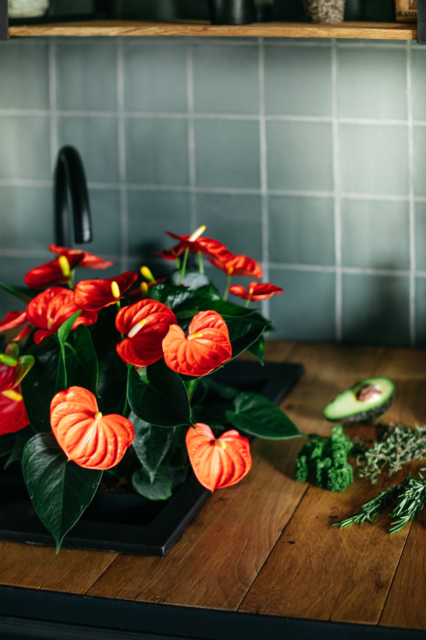 Inspiratie: zo style je de keuken met anthurium planten