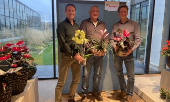 Anthura takes over Bromeliad breeding activities of Handelskwekerij van der Velden